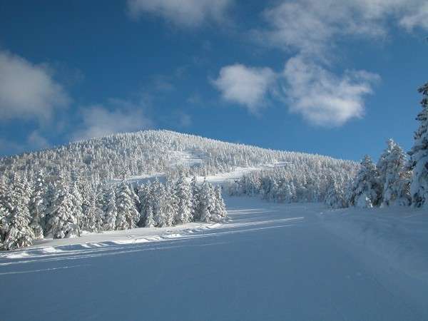 3月・4月こそ天元台高原へ！春スキーと春の雪山登山の魅力をご紹介