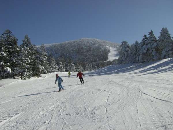 天元台スキー場について